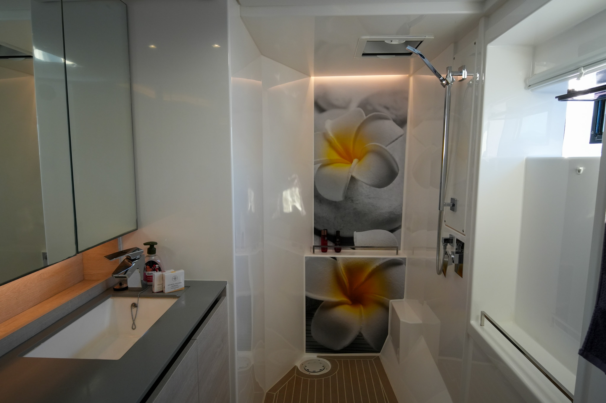 DREAM TEAM Leopard 50 catamaran for sale