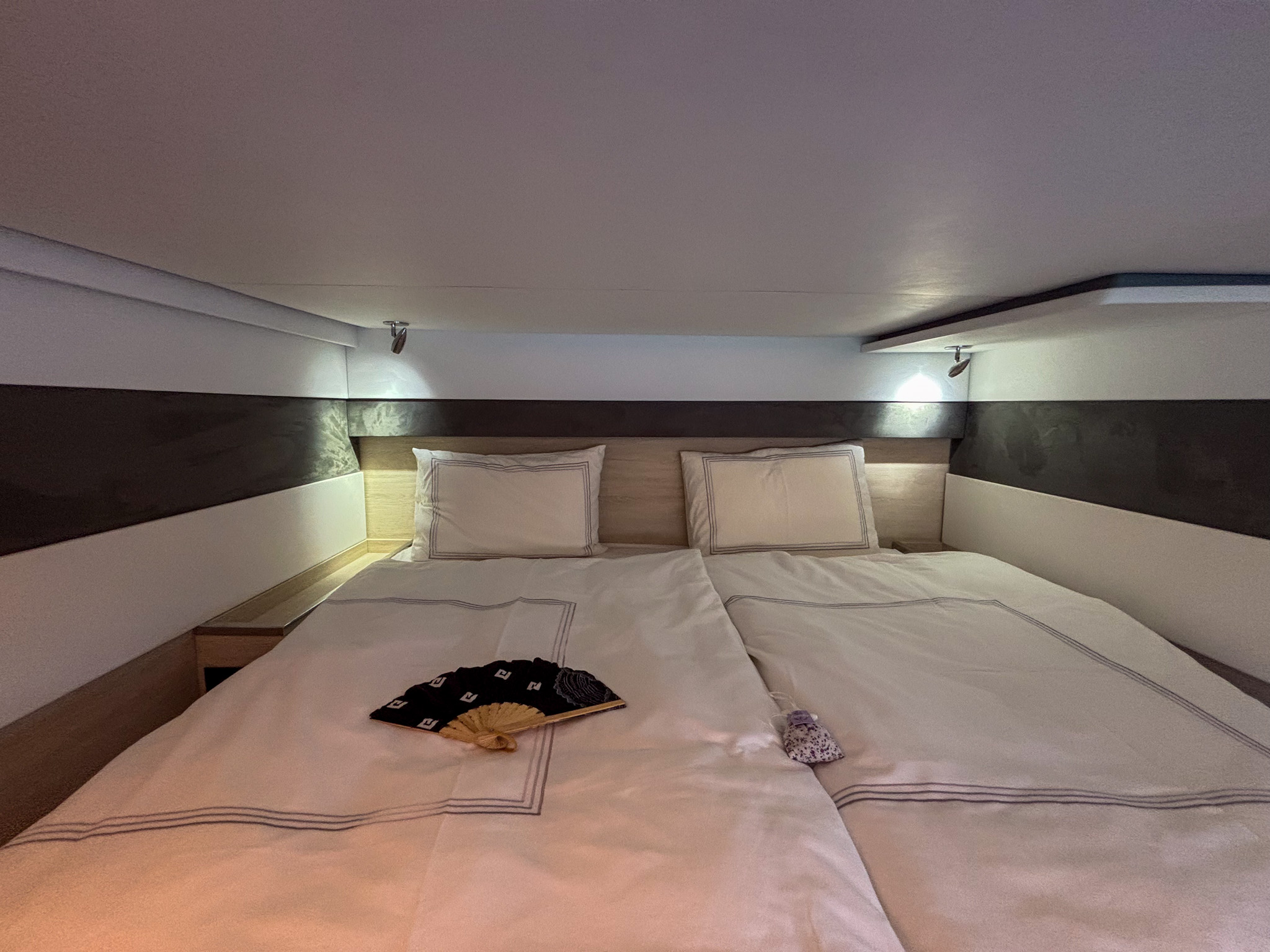 DREAM TEAM Leopard 50 catamaran for sale