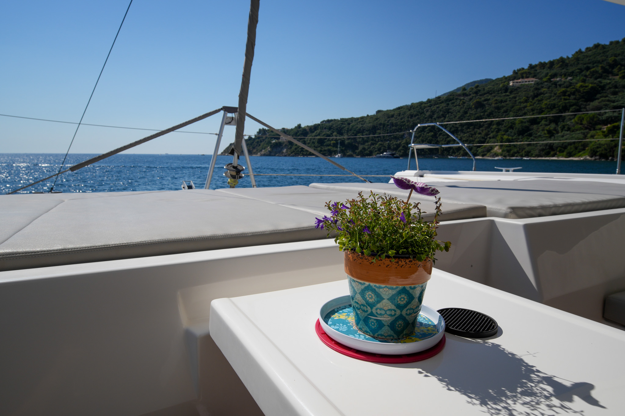 DREAM TEAM Leopard 50 catamaran for sale
